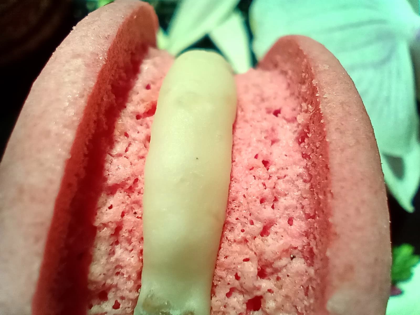 Motorola One Macro w Polsce. Niedrogi smartfon dla miłośników fotografowania z bliska 4