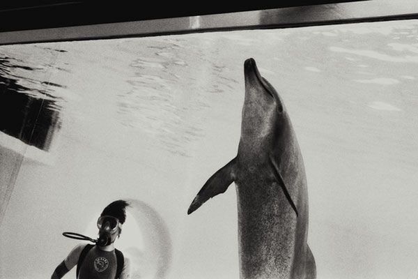 W skrócie: Tomasz Gudzowaty ocenia portfolio, „Blue” w Krakowie, Kishin Shinoyama w Katowicach 1