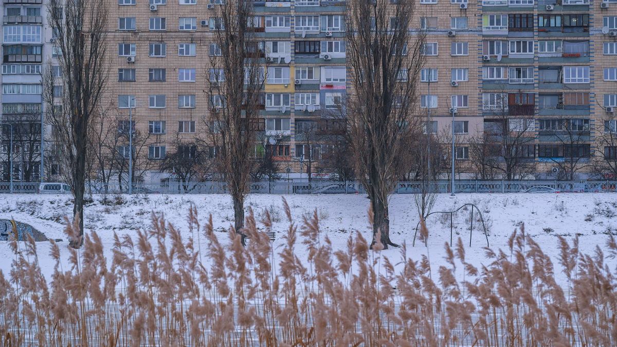 Soviet era residential buildings during winter with snow
Reeds and snowy ground foregrounding a row of stark leafless trees against a backdrop of Soviet-era apartment buildings, depicting a cold urban winter landscape
Artem Hvozdkov