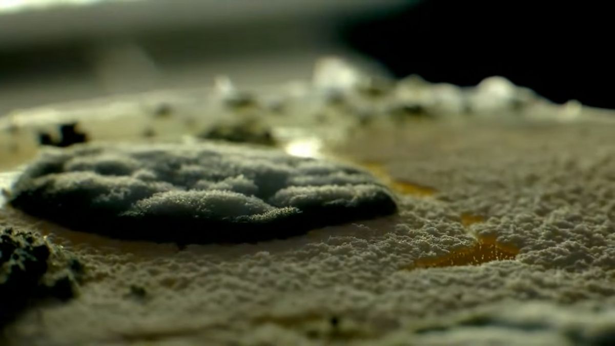 Makro time lapse pokazujący alternatywne wprowadzenie do "Gry o Tron" 1