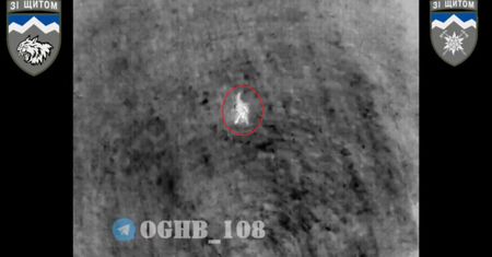 Ukraiński pilot drona ratuje lisa. Następnie urządza rzeź Rosjan