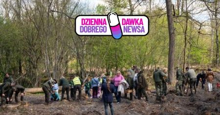 Zabrali do lasu nawet dzieci. Leśnicy pokazali, ile przybyło drzew