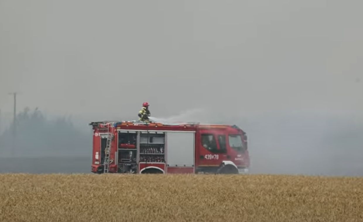 Pożar zboża na pniu. Dym nad drogą