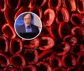 Antyrakowa zbroja. Naukowiec z Harvardu zdradza, co działa najsilniej