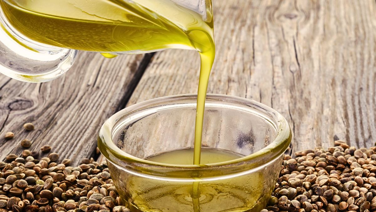Olej konopny tłoczony na zimno to wartościowy składnik w kuchni