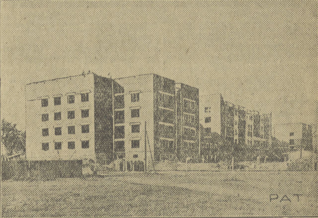 Gdynia: "Chińska dzielnica" i przesiedlenia do Witomina
