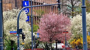 Pochmurna niedziela w Łodzi. IMGW ostrzega przed gołoledzią