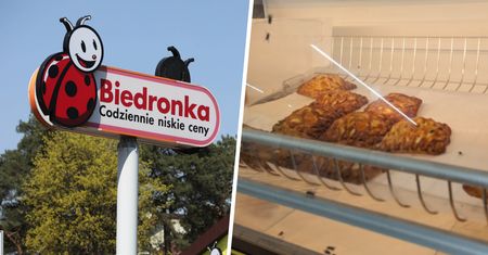 Muchy zmieniły ich życie w piekło. Teraz problem ma Dino i  Biedronka