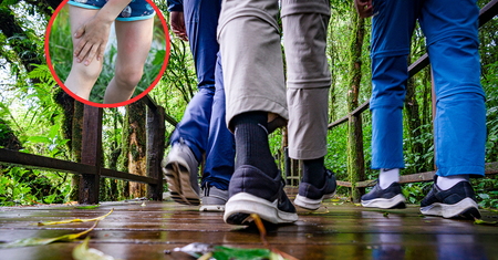 GIS ostrzega. "Po spacerze zmień ubranie"