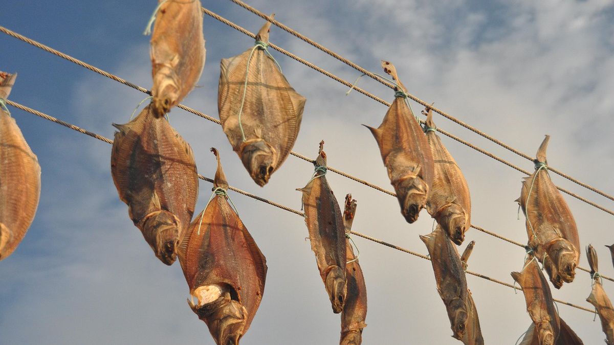 Suszenie ryb ma długą tradycję