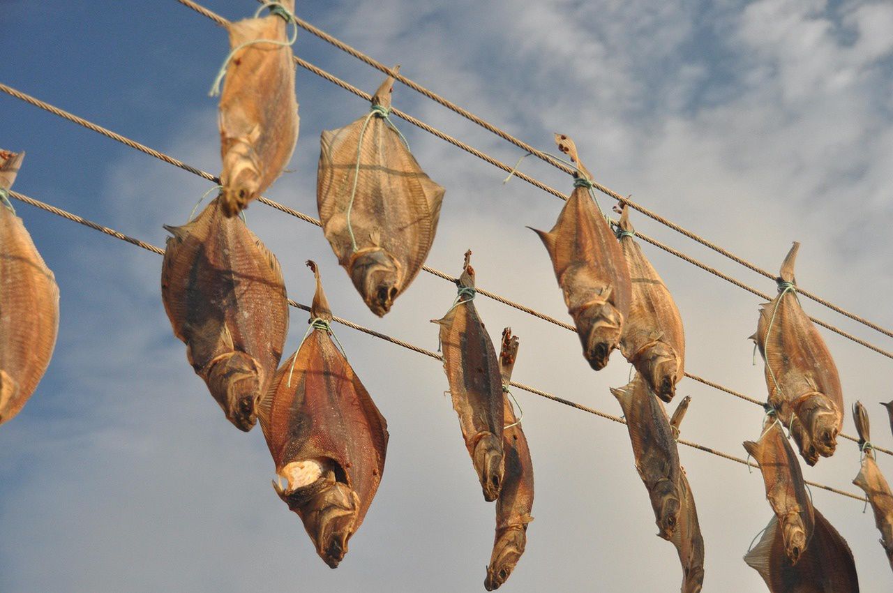 Rybki suszę na balkonie, a sąsiad przez kilka dni kręci nosem