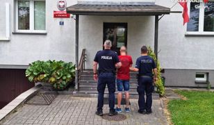 Śląskie. Wielbiciel słodkości. Ukradł słodycze za ponad 6 tysięcy złotych