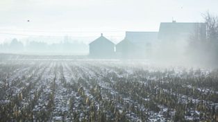 Sensacja na Mazurach. Syn rolnika znalazł skarb