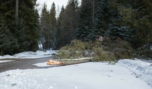 Czechy. Wiatr powalił pięciometrowe ogrodzenie. Nie żyje jedna osoba