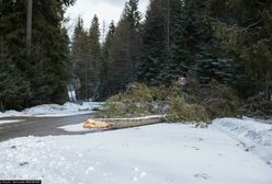 Czechy. Wiatr powalił pięciometrowe ogrodzenie. Nie żyje jedna osoba