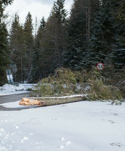 Czechy. Wiatr powalił pięciometrowe ogrodzenie. Nie żyje jedna osoba