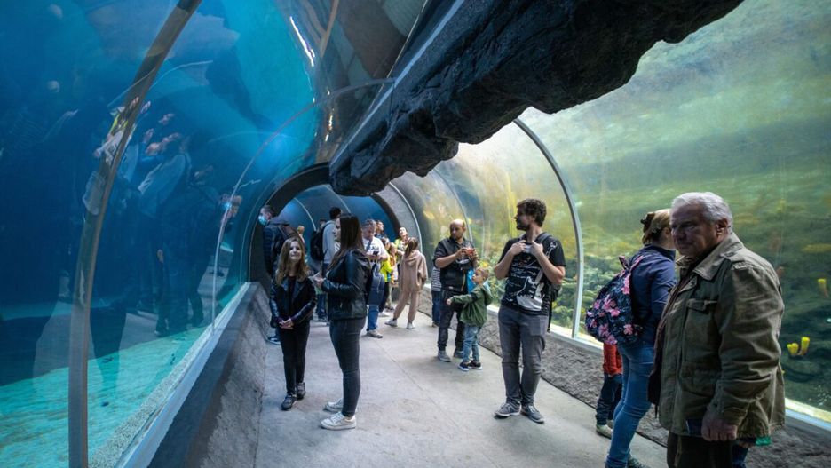 Tunel w Orientarium, Łódź 