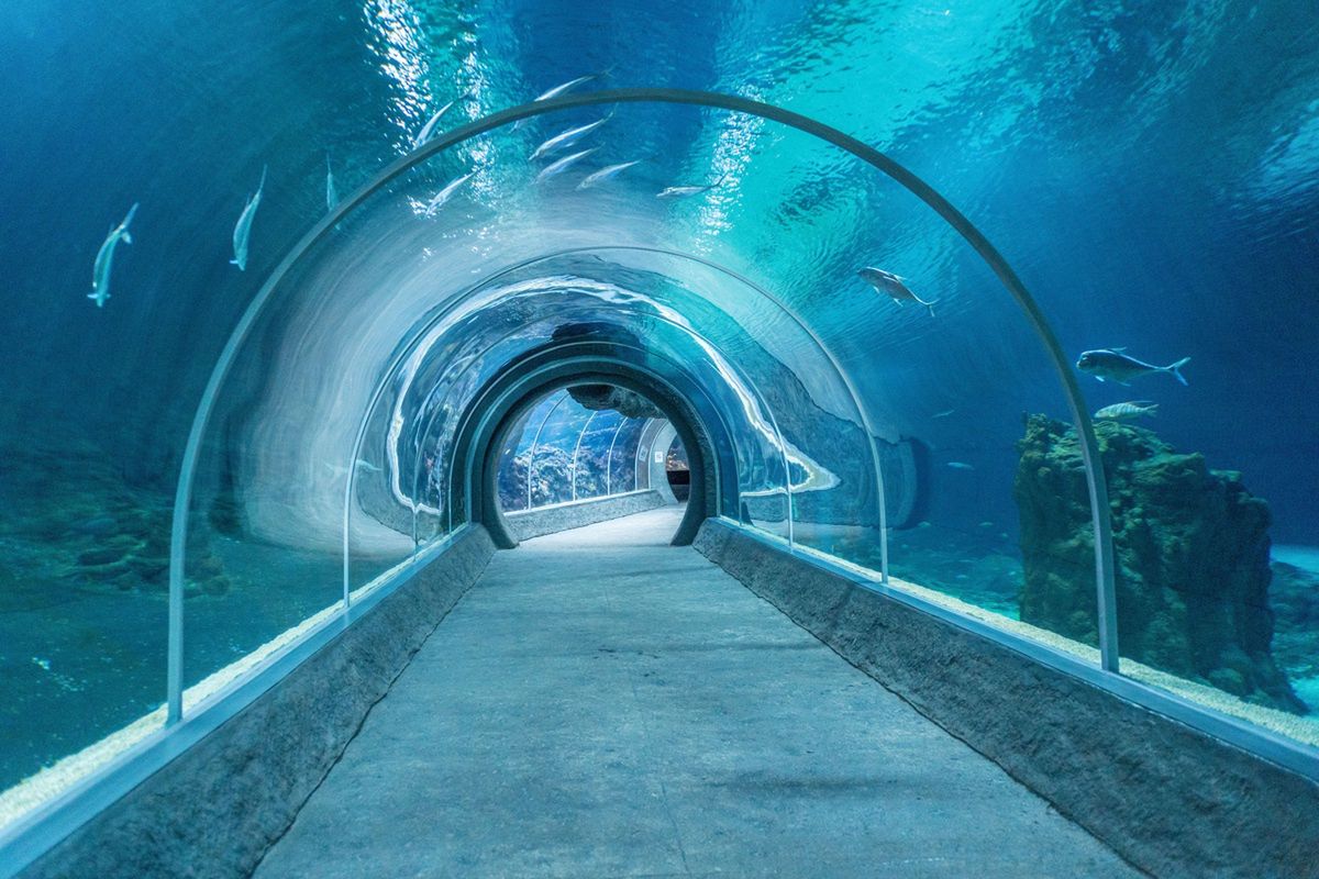 Orientarium Zoo Łódź wprowadza bilet ulgowy i podnosi cenę normalnego – majówka z nowym cennikiem — image 2
