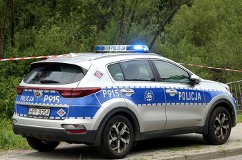 Łodzianin znalazł wystające z ziemi kości. Ruch prokuratury