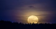 Pełnia Księżyca w lutym 2026. Niesamowicie potężna! Tak wpływa Śnieżny Księżyc na niektóre znaki zodiaku