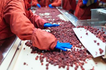 Upadły zakład przetwórczy idzie pod młotek. Cena spadła o 5 mln zł