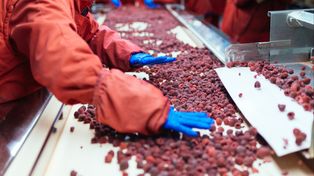 Upadły zakład przetwórczy idzie pod młotek. Cena spadła o 5 mln zł