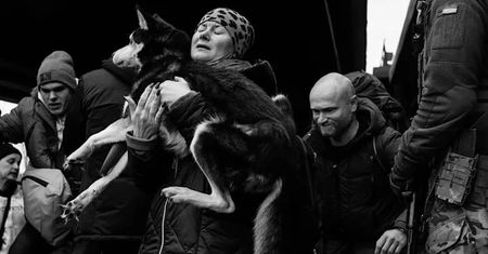 Pejzaż z krwawnikiem. Ci, którzy przeżyli, uczą się żyć na nowo