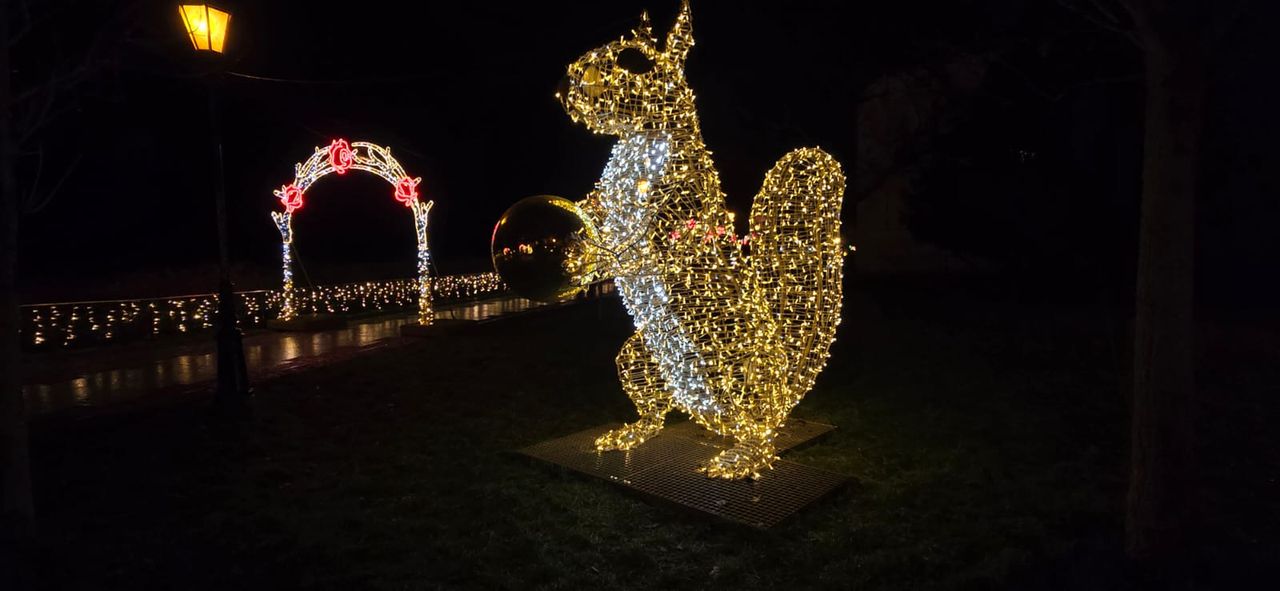 Płockie Ogrody Światła