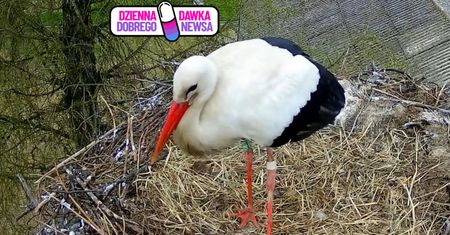 Poraził go prąd. Uratowali mu życie. Po 4 latach wrócił. Płyną łzy