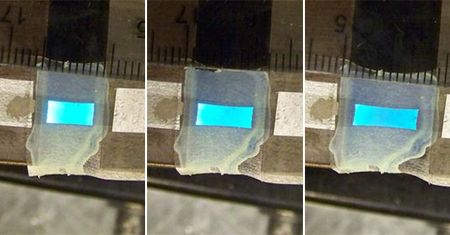 Rozciągliwe wyświetlacze OLED z Kalifornii