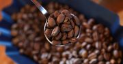 Oszukane kawy. Oto czym zastępują ziarna