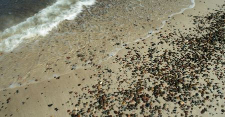 Na plaży szaleństwo. "Można zbierać, zwyczajnie leżą tak"