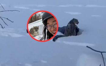 Zdążyła zrobić zdjęcie. Chwilę później wydarzył się dramat