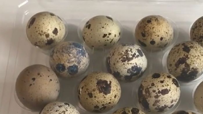 Jajka przepiórek gotują się bardzo szybko 