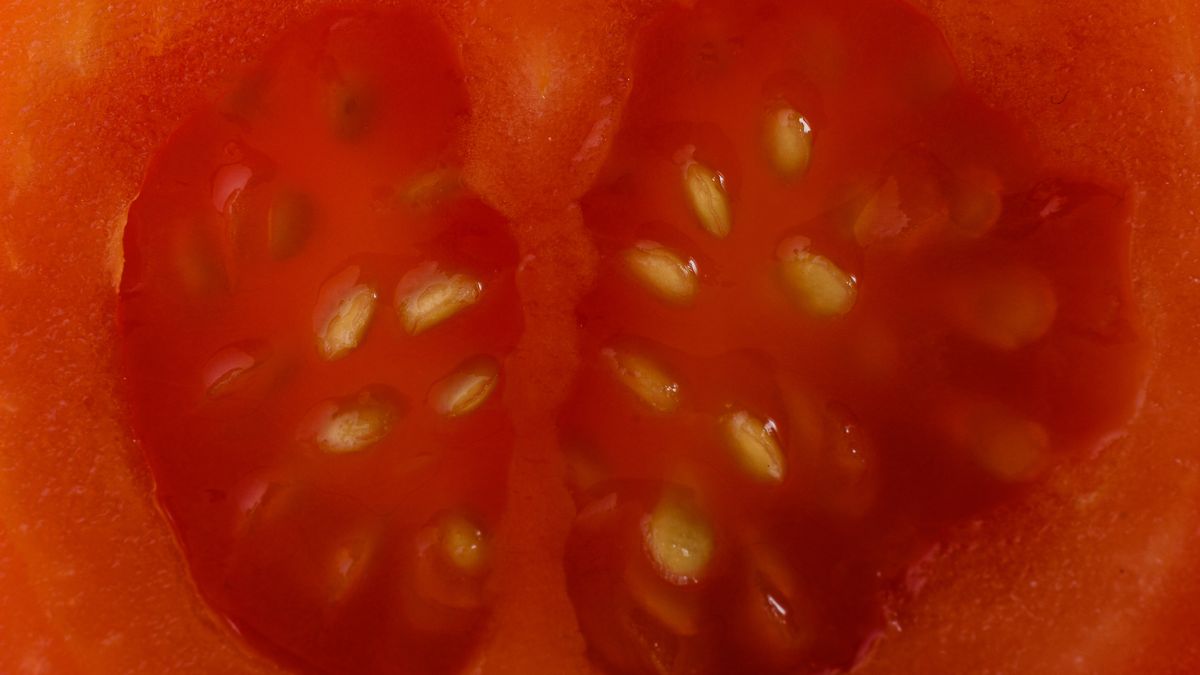 Pomidory mogą pogłębiać objawy reumatoidalnego zapalenia stawów