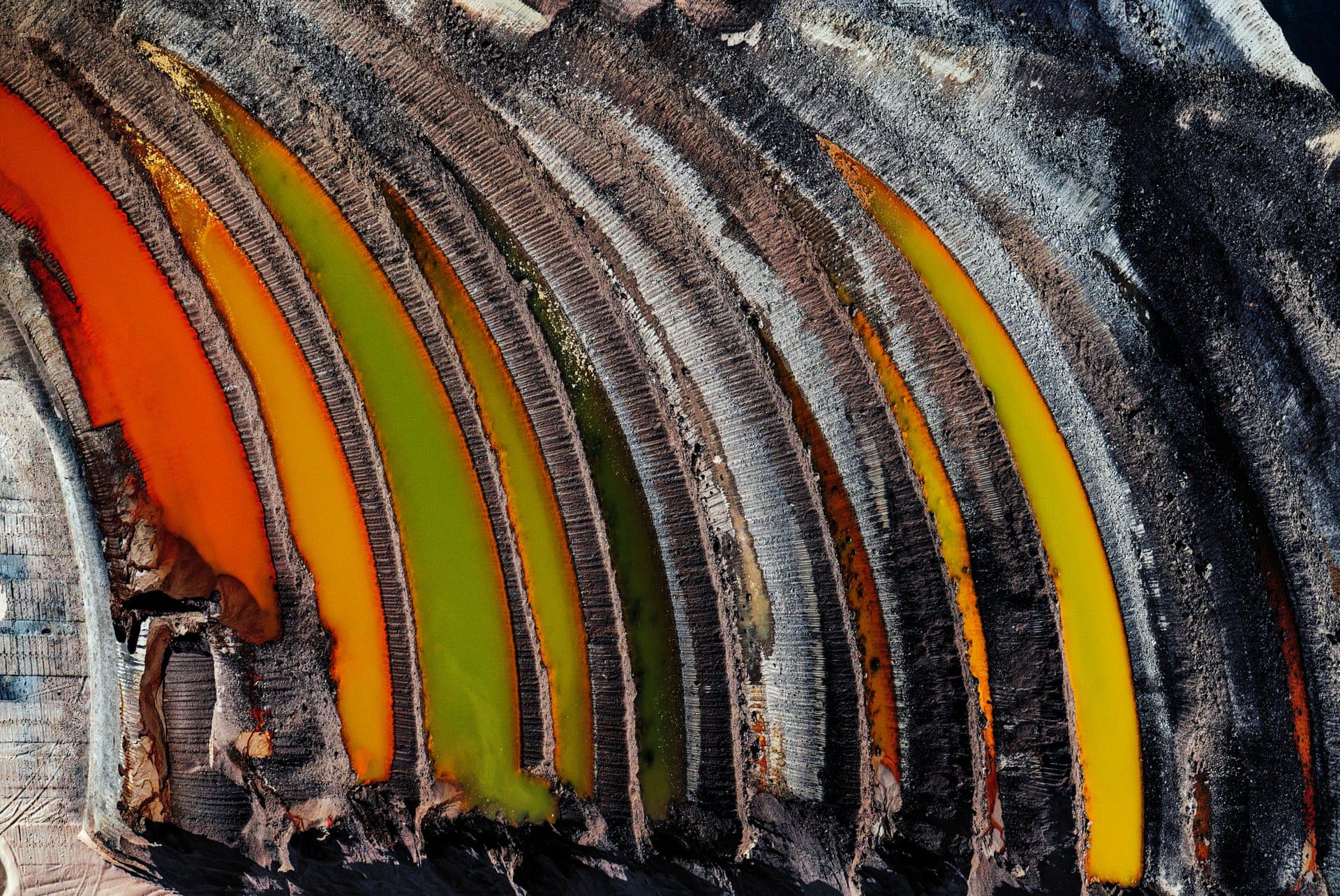 Enviromental Photography Of The Year 2019. Tak wygląda nasza planeta 5