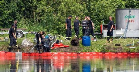 Katastrofa ekologiczna pod Łodzią. Wędkarze odkryli przyczynę