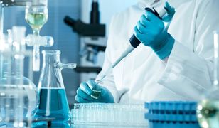 Cholera w Szczecinie. GIS uspokaja: brak ogniska choroby