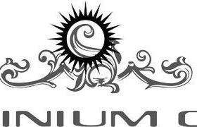 Sylwia Majdan z Platinium Cast