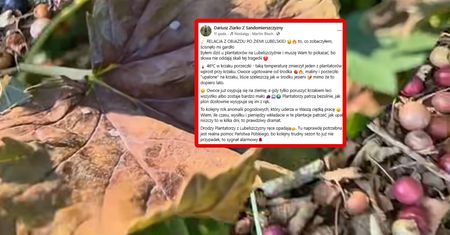 "Ścisnęło mi gardło". Ponury widok na Lubelszczyźnie