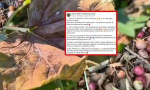 "Ścisnęło mi gardło". Ponury widok na Lubelszczyźnie