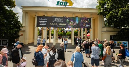 Wrocławskie Zoo ostrzega. Oszuści w akcji
