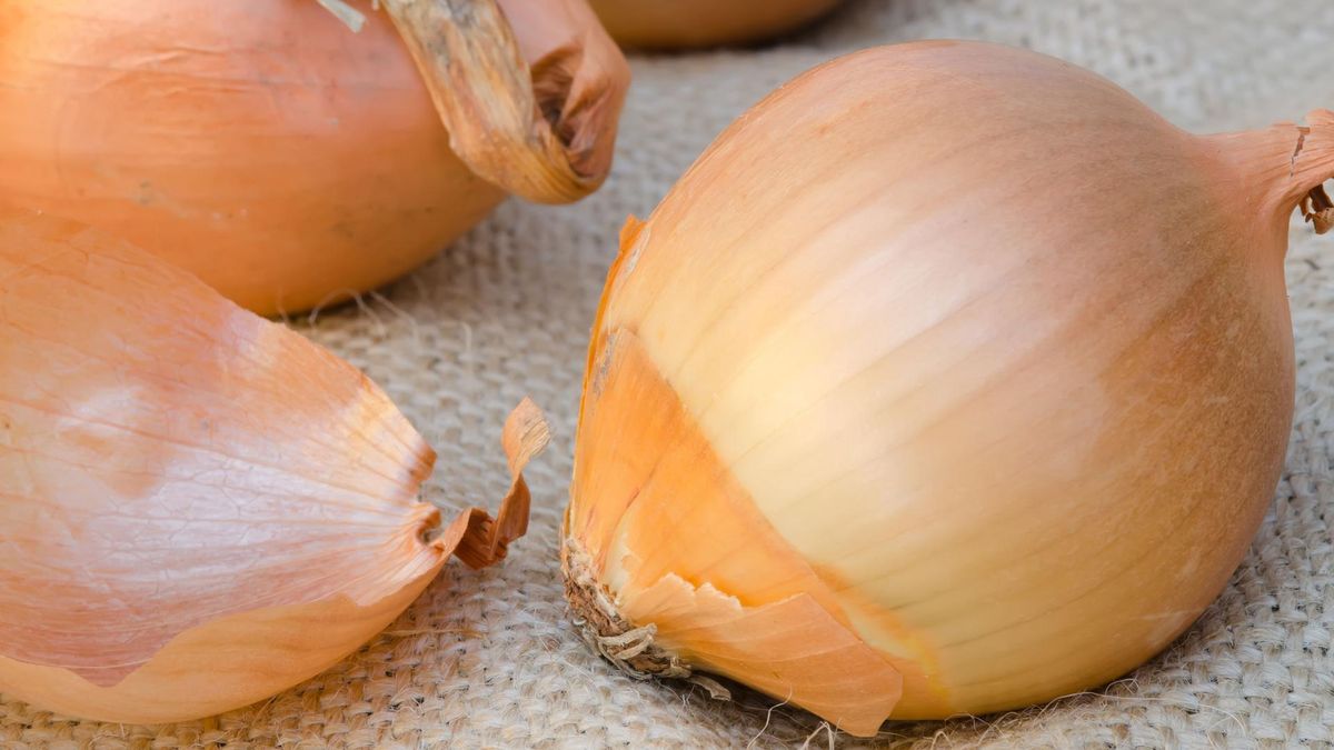 Kwercetyna zawarta w łupinach cebuli leczy