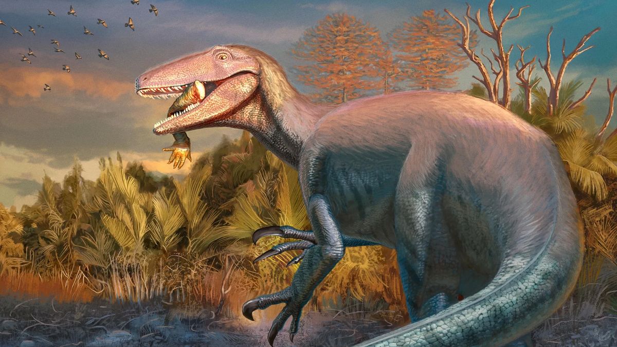 Megaraptor