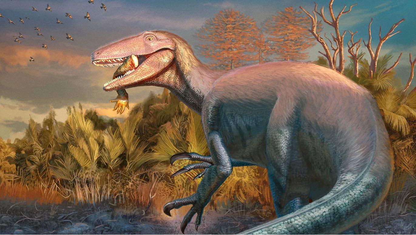 Odkryli nowy gatunek megaraptora. Fascynuje ich jego śmierć