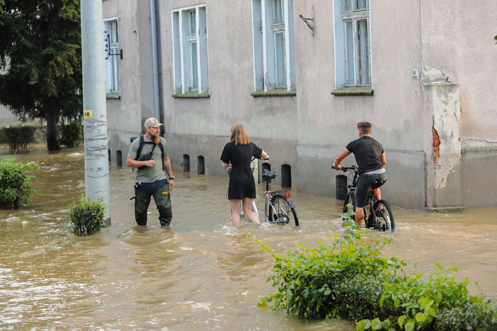 Kolonie grzybów mogą pojawić się w zalanych budynkach.