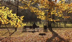 Po mrozach przyjdzie ocieplenie. Nawet 15 stopni na początku grudnia