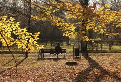 Po mrozach przyjdzie ocieplenie. Nawet 15 stopni na początku grudnia