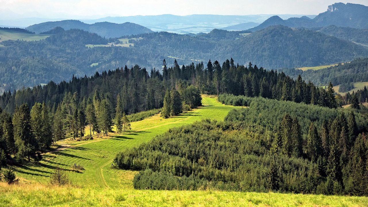 Beskidy. Jest pięknie, dlatego i tłoczno