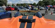 Leszno: Były oldtimery i całkiem nowe samochody. Kilkaset aut przyjechało się na Family Cars - dla zwierzaków
